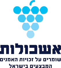 לוגו אשכולות